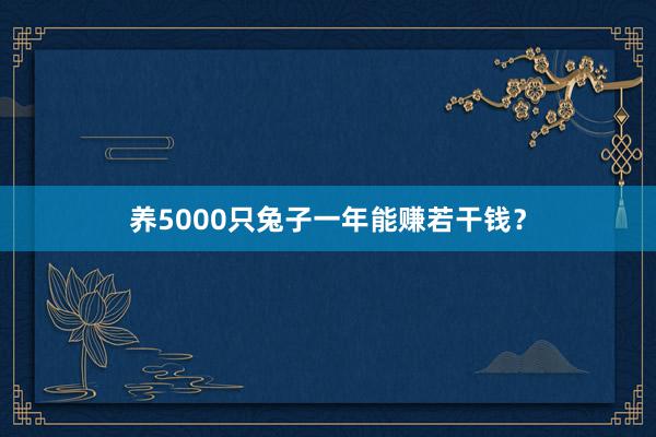 养5000只兔子一年能赚若干钱？